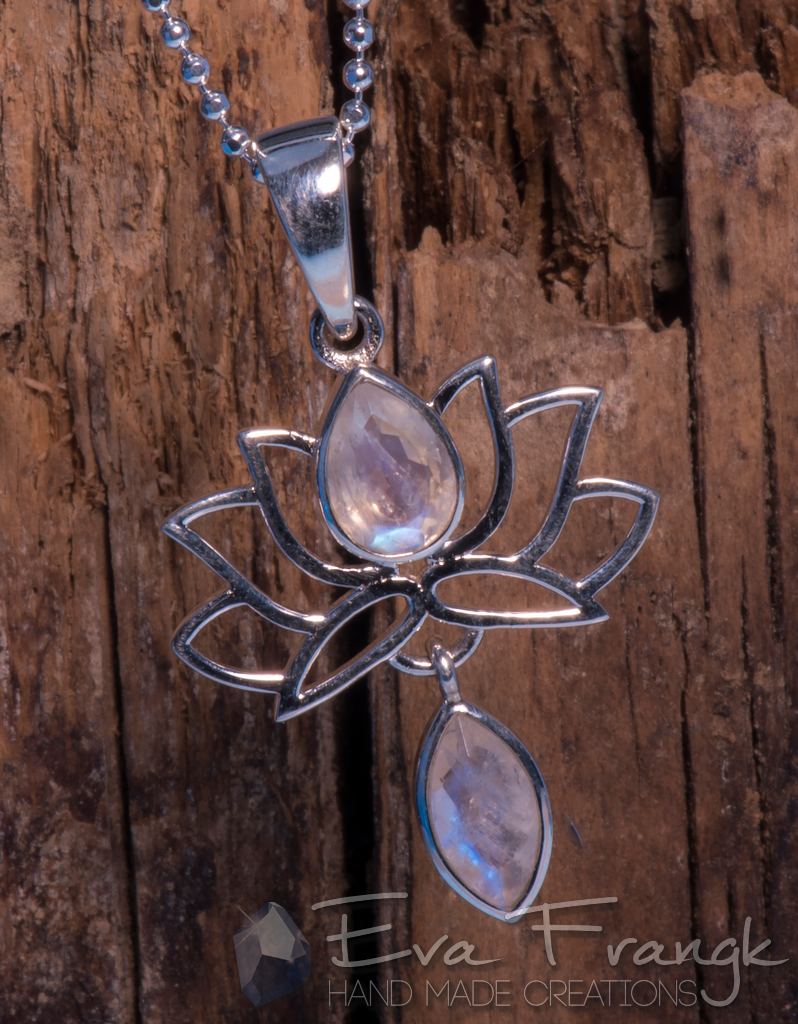 112SN-EVAFRANGK-MENTAGION-LOTOS-FEGGAROPETRA-3 EvaFrangk