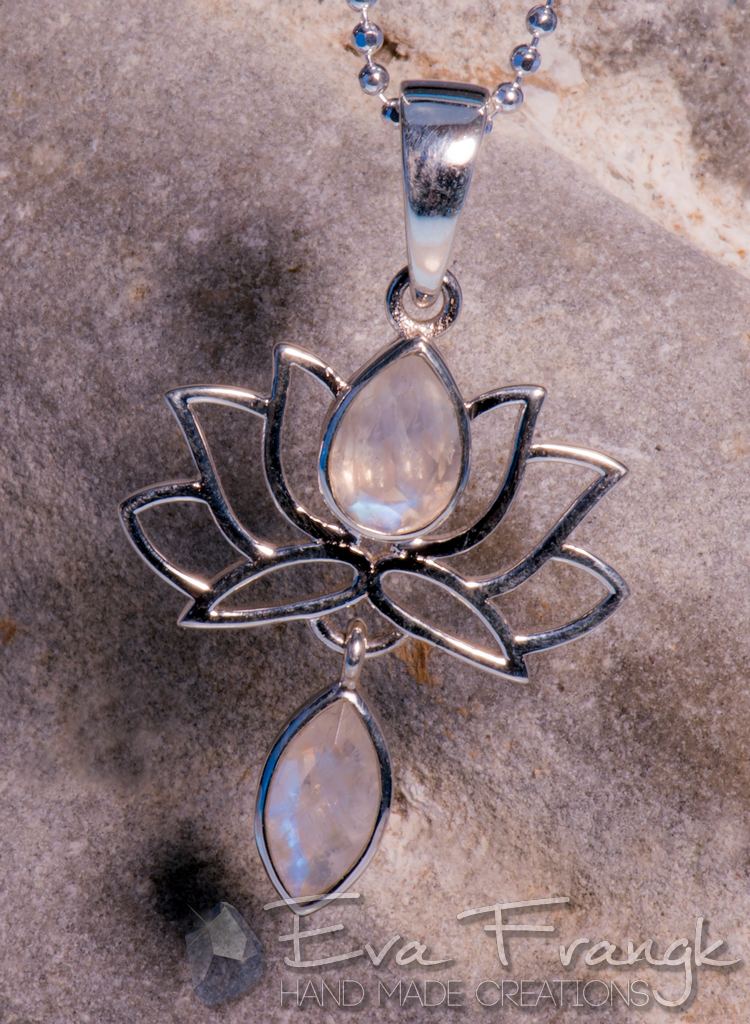 112SN-EVAFRANGK-MENTAGION-LOTOS-FEGGAROPETRA-4 EvaFrangk