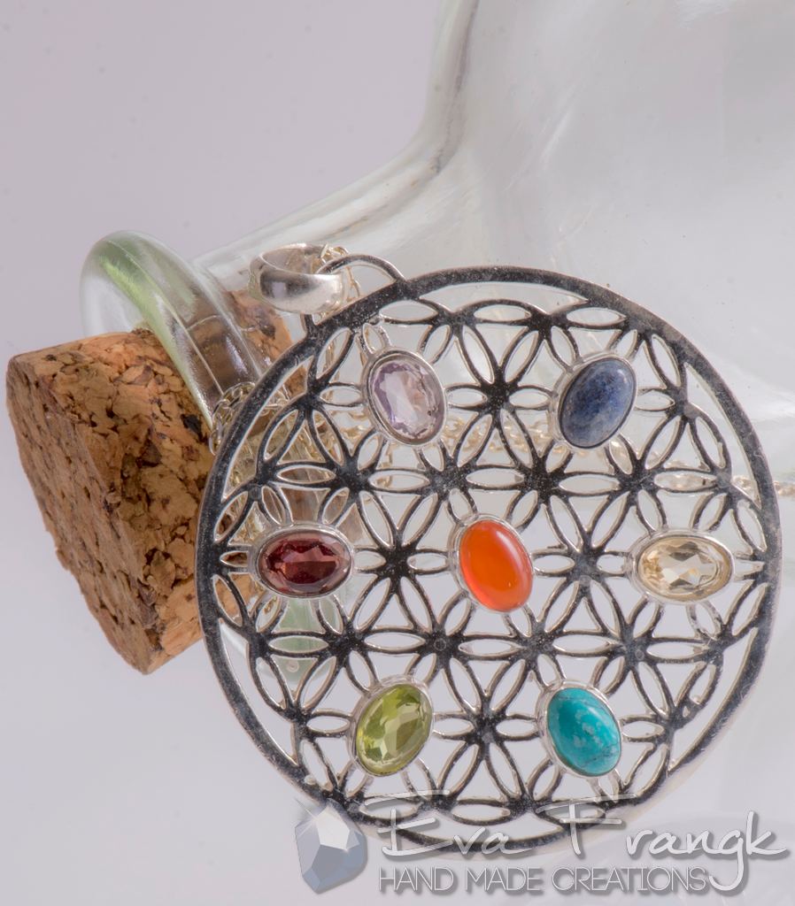 113SN-EVAFRANGK-MENTAGION-LOYLOYDITISZOIS-7TSAKRA-2 EvaFrangk