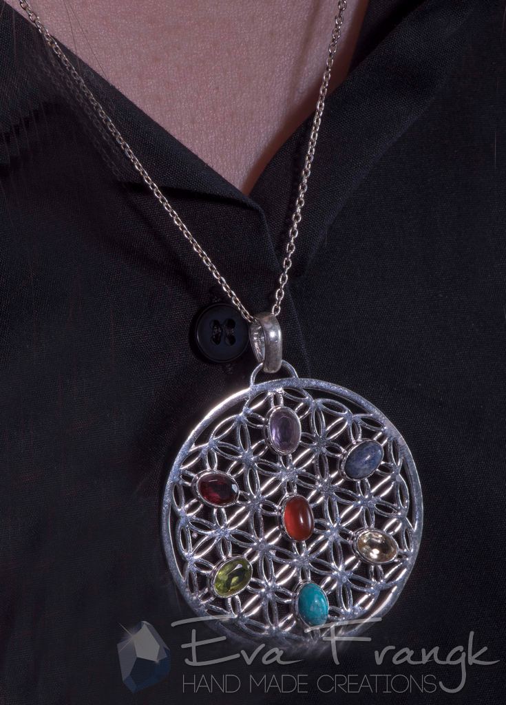 113SN-EVAFRANGK-MENTAGION-LOYLOYDITISZOIS-7TSAKRA-4 EvaFrangk