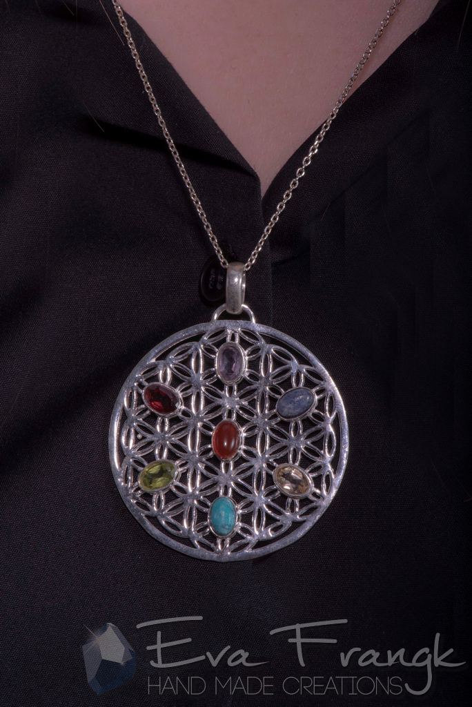 113SN-EVAFRANGK-MENTAGION-LOYLOYDITISZOIS-7TSAKRA-6 EvaFrangk