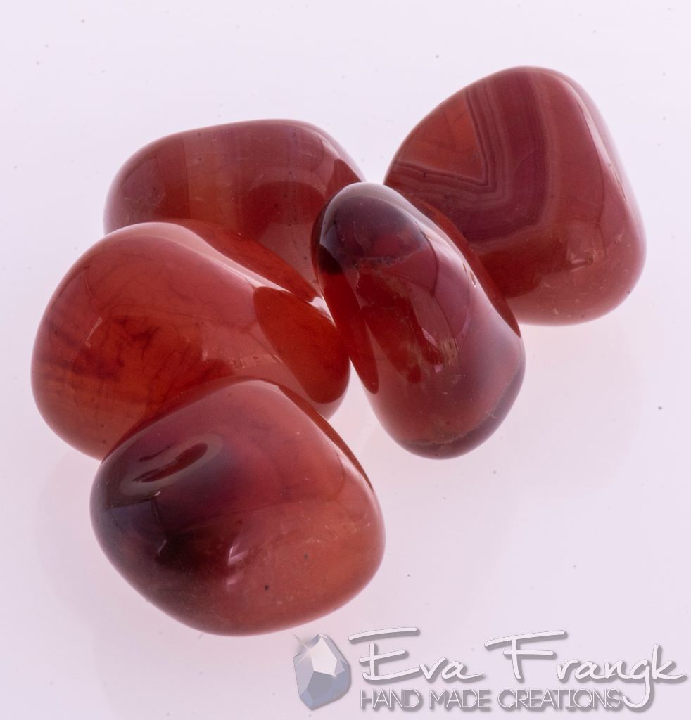 024GQ-EVAFRANGK-KORNEOLI-MPAROK-BOTSALO-GYALISMENO-2 EvaFrangk