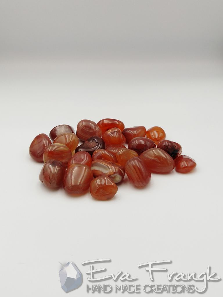 024GQ-EVAFRANGK-KORNEOLI-MPAROK-BOTSALO-GYALISMENO-3 EvaFrangk