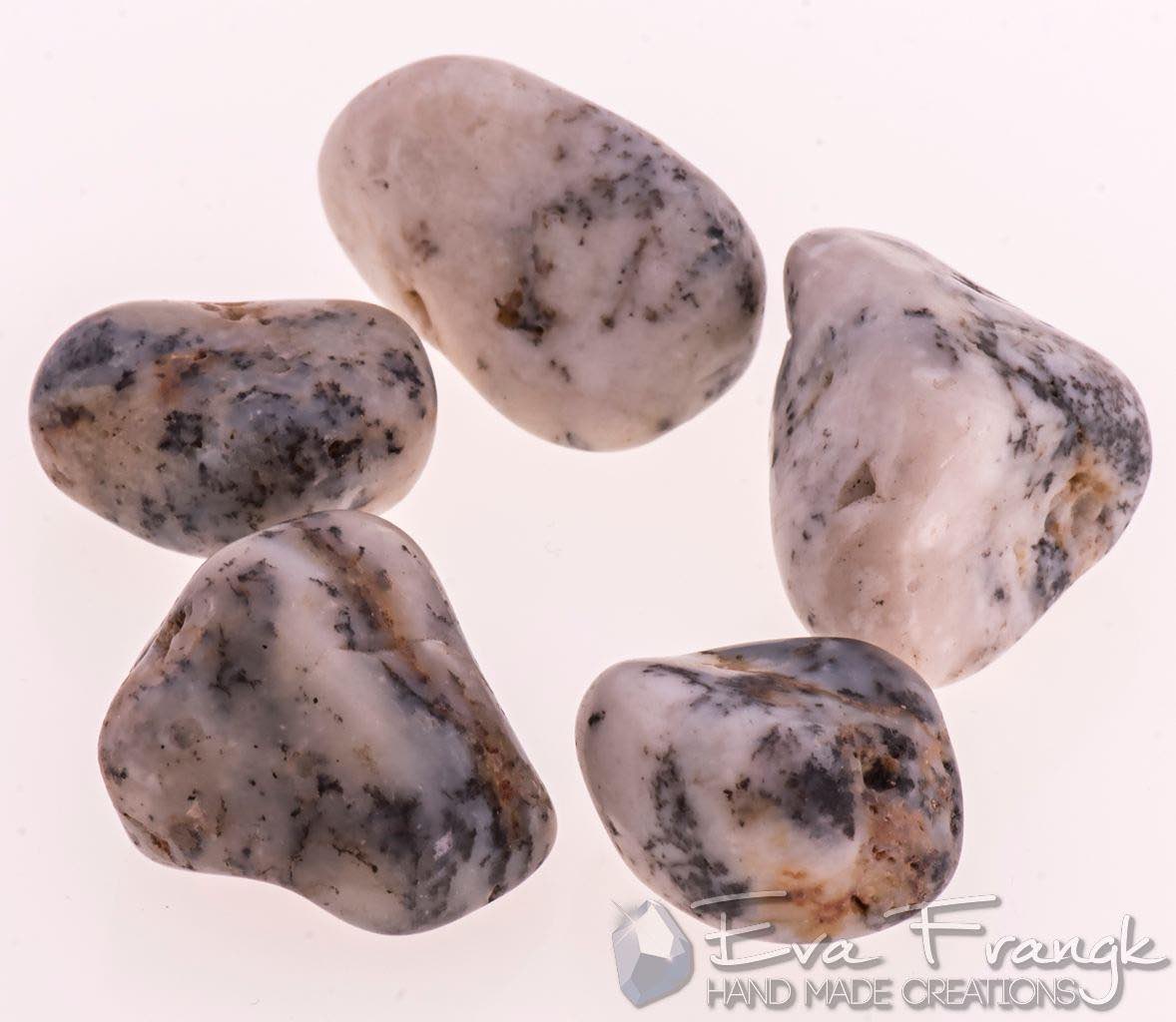 031GQ-EVAFRANGK-DENDRIDIKOS-AXATIS-MPAROK-BOTSALO-GYALISMENO-1 EvaFrangk