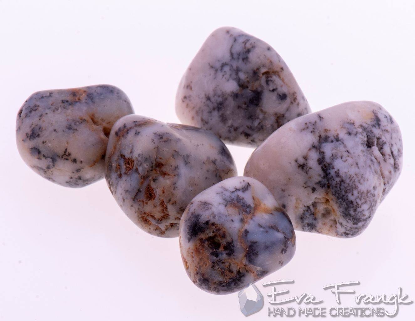 031GQ-EVAFRANGK-DENDRIDIKOS-AXATIS-MPAROK-BOTSALO-GYALISMENO-2 EvaFrangk