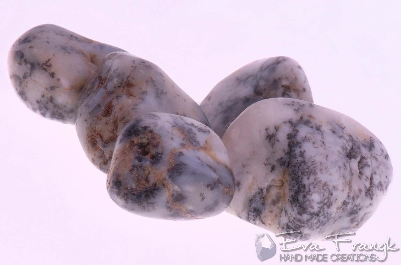 031GQ-EVAFRANGK-DENDRIDIKOS-AXATIS-MPAROK-BOTSALO-GYALISMENO-3 EvaFrangk