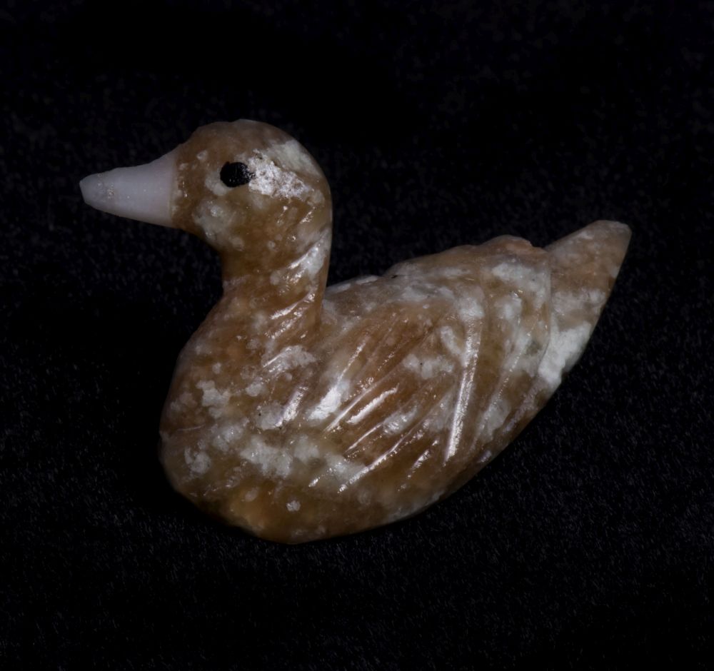 001ANM EVAFRANGK PAPIA KALSITIS PORTOKALI 2 001ANM EVAFRANGK PAPIA KALSITIS PORTOKALI 2