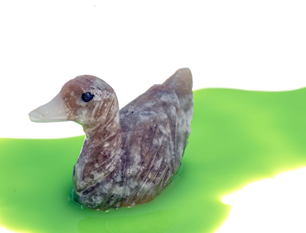 001ANM EVAFRANGK PAPIA KALSITIS PORTOKALI 3 001ANM EVAFRANGK PAPIA KALSITIS PORTOKALI 3