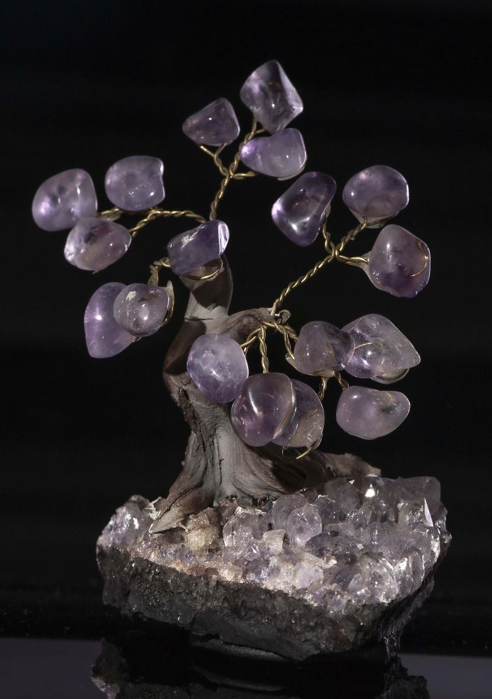 001TRE EVAFRANGK DENDRAKI AMETHYSTOS XALAZIAS 1 001TRE EVAFRANGK DENDRAKI AMETHYSTOS XALAZIAS 1