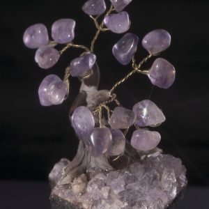 001TRE EVAFRANGK DENDRAKI AMETHYSTOS XALAZIAS 2