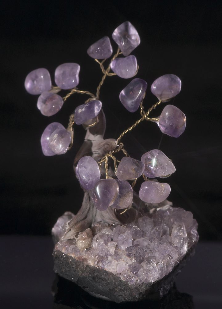 001TRE EVAFRANGK DENDRAKI AMETHYSTOS XALAZIAS 2 001TRE EVAFRANGK DENDRAKI AMETHYSTOS XALAZIAS 2