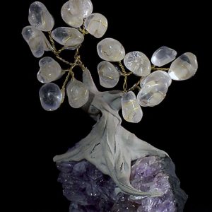 002TRE EVAFRANGK DENDRAKI ROZ XALAZIAS 1