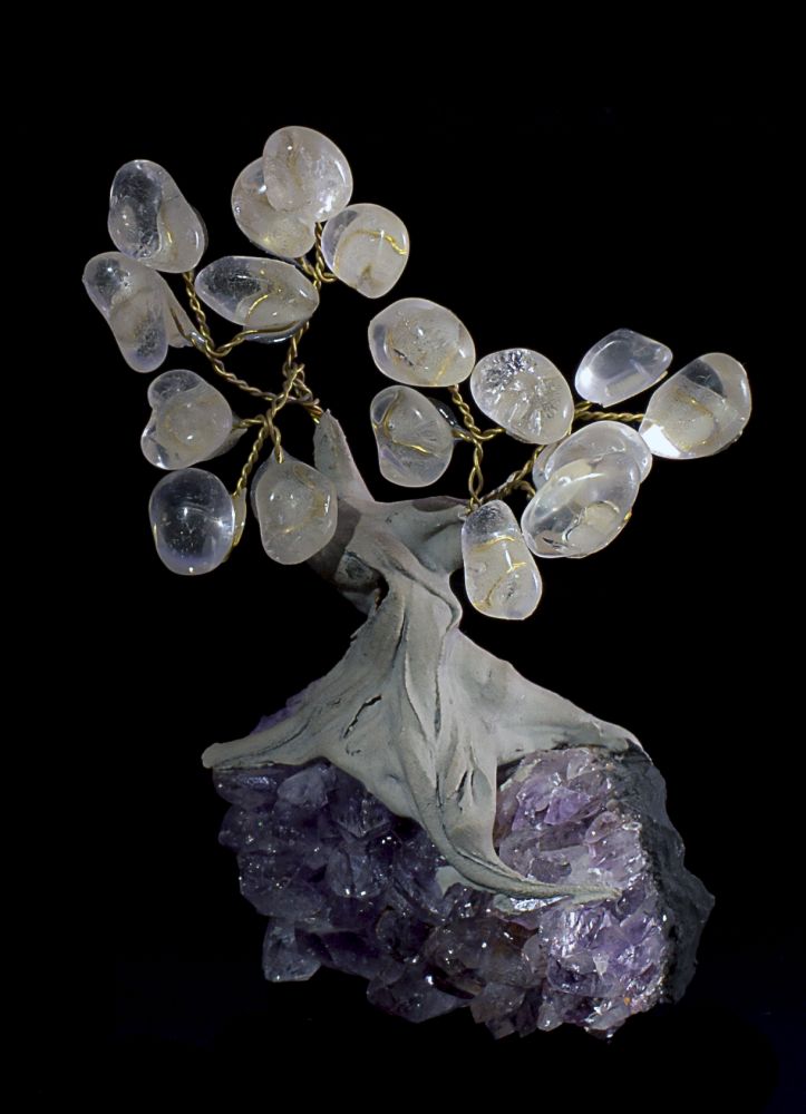 002TRE EVAFRANGK DENDRAKI ROZ XALAZIAS 1 002TRE EVAFRANGK DENDRAKI ROZ XALAZIAS 1