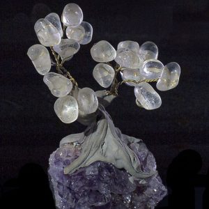 003TRE EVAFRANGK DENDRAKI KITRINOS XALAZIAS 1