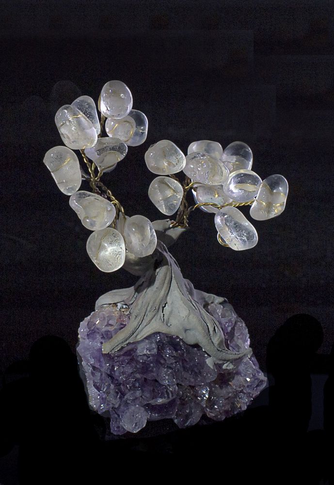 003TRE EVAFRANGK DENDRAKI KITRINOS XALAZIAS 1 003TRE EVAFRANGK DENDRAKI KITRINOS XALAZIAS 1