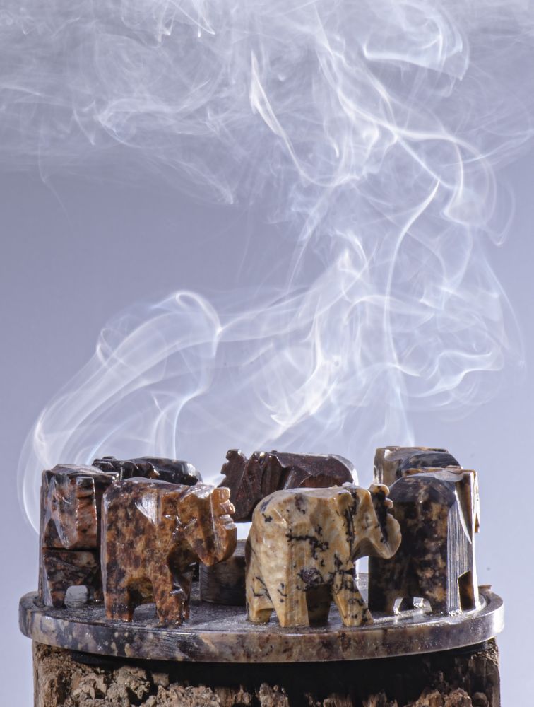 004CRB EVAFRANGK KAYSTIRAS BASI STICKS EFTA ELEPHANTES 1 004CRB EVAFRANGK KAYSTIRAS BASI STICKS EFTA ELEPHANTES 1