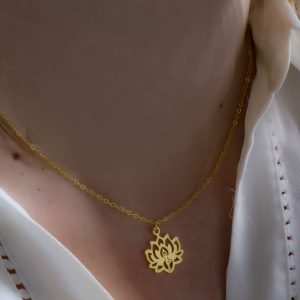 127SN EVAFRANGK MENTAGION LOTOS DENTRO XRYSO 2